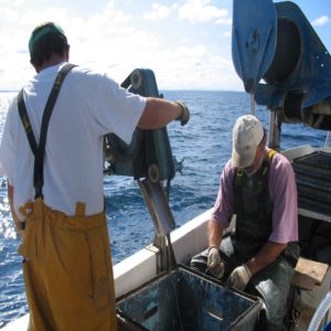 Bilan de campagne de pêche 2020 - Merlu de ligne